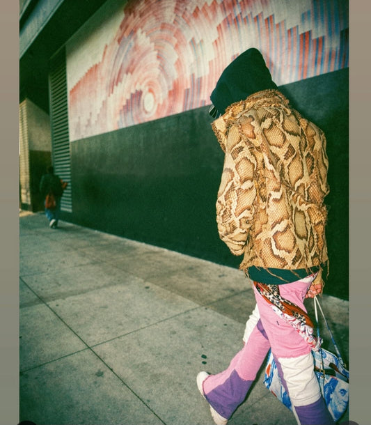 "SHED SKIN" TAPESTRY JACKET